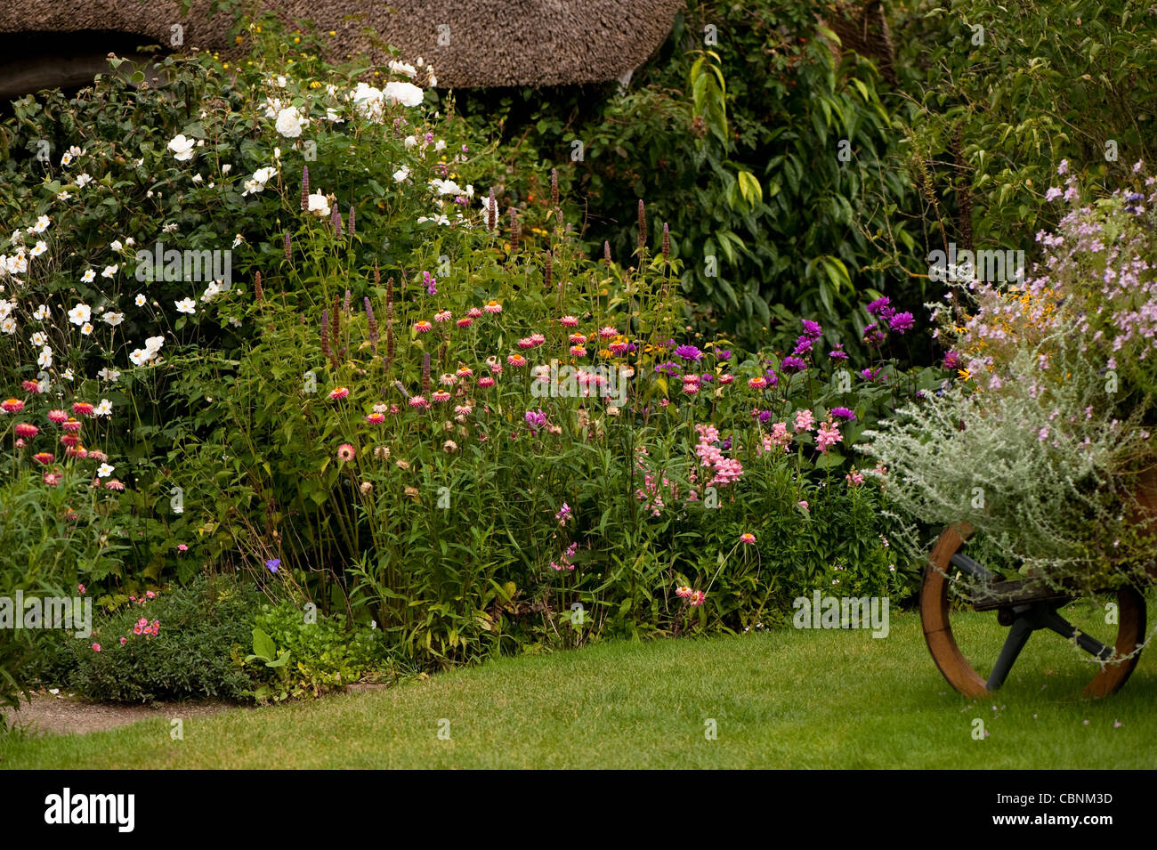 The Cottage Garden in September, RHS Rosemoor, Devon, England, United Kingdom Stock Photo