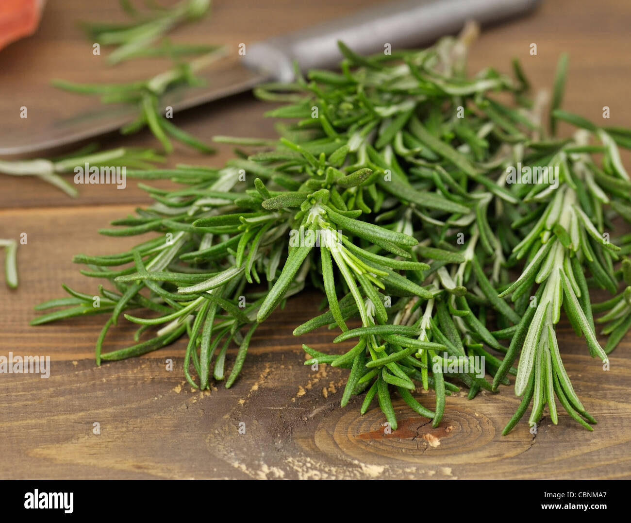 Fresh Rosemary Herbs On Wooden Background,Close Up Stock Photo