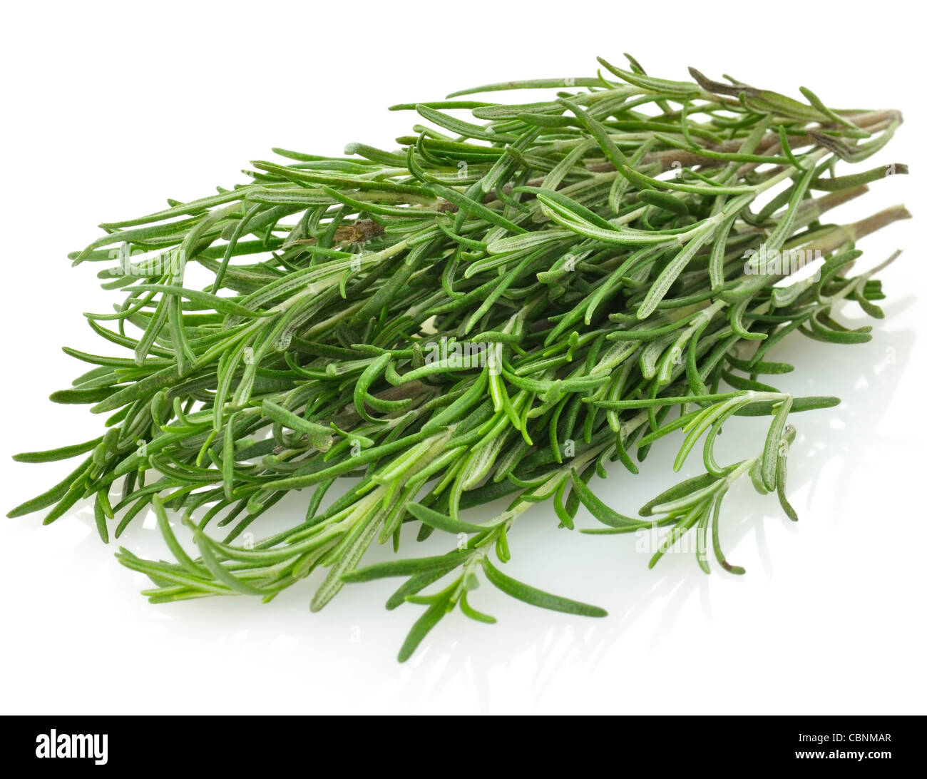 Rosemary plant hires stock photography and images Alamy