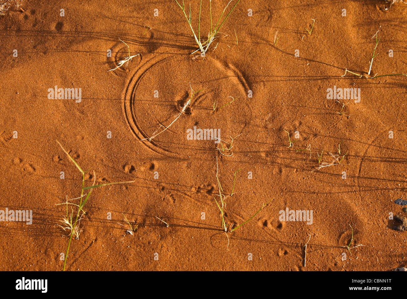 Patterns in red sand made by blowing grass Stock Photo