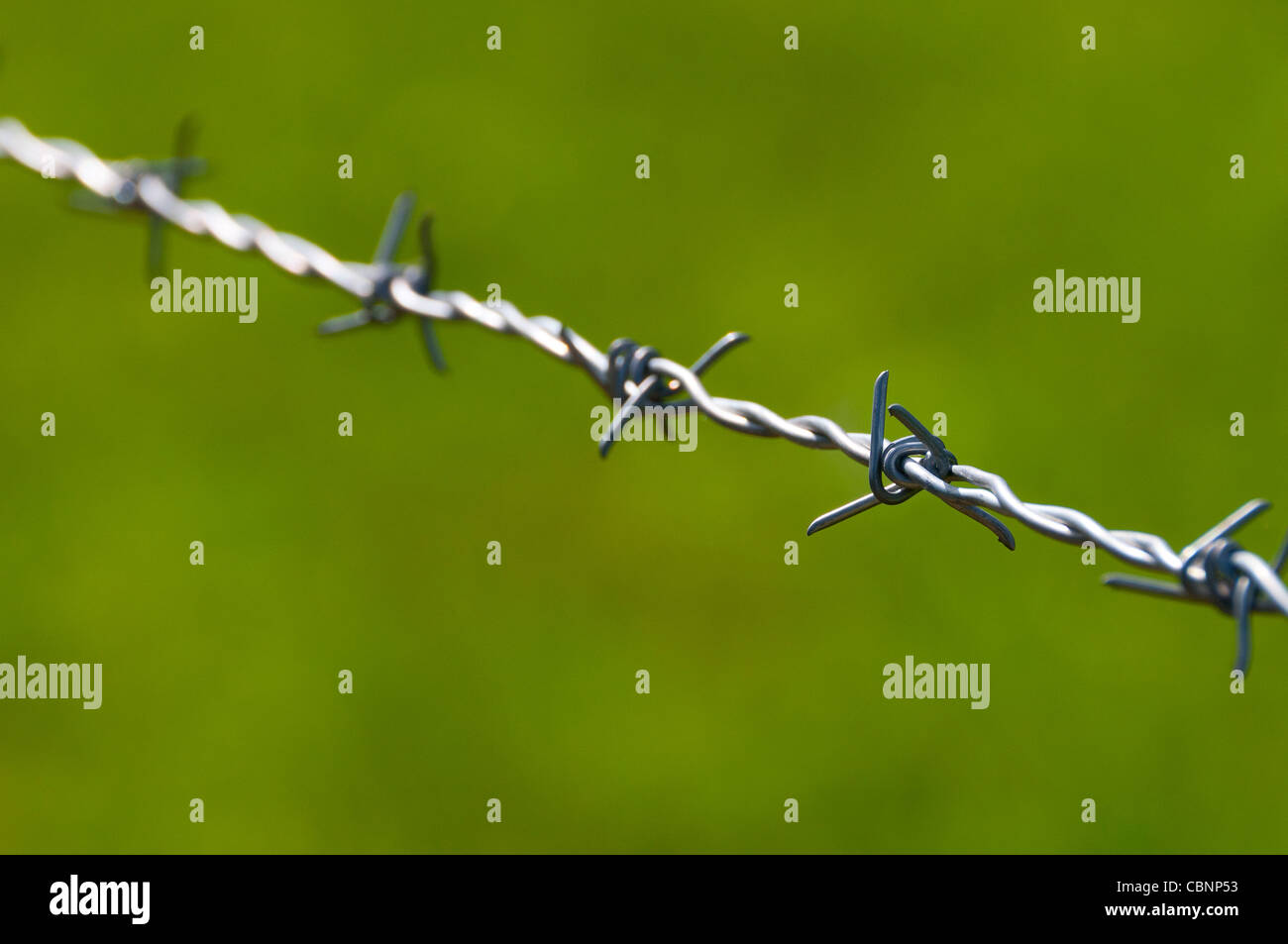 Detail of barbed wire Stock Photo