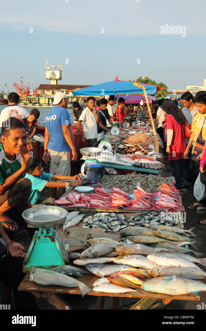 Fresh seafood for sale at Kota Kinabalu waterfont wet market. Stock Photo