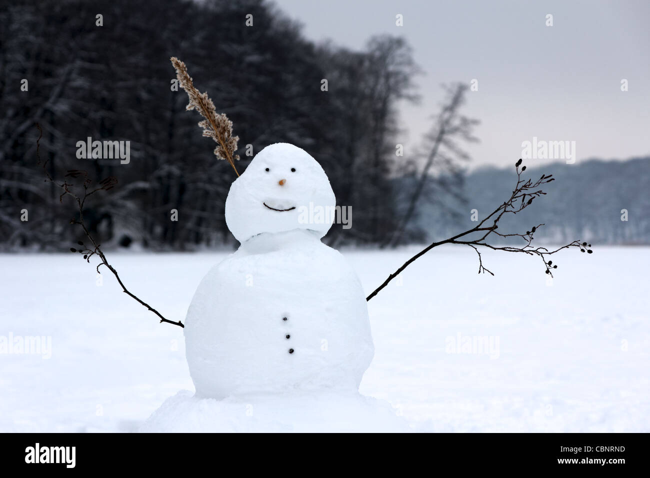 A happy looking snowman on the frozen lake Schlachtensee in Berlin