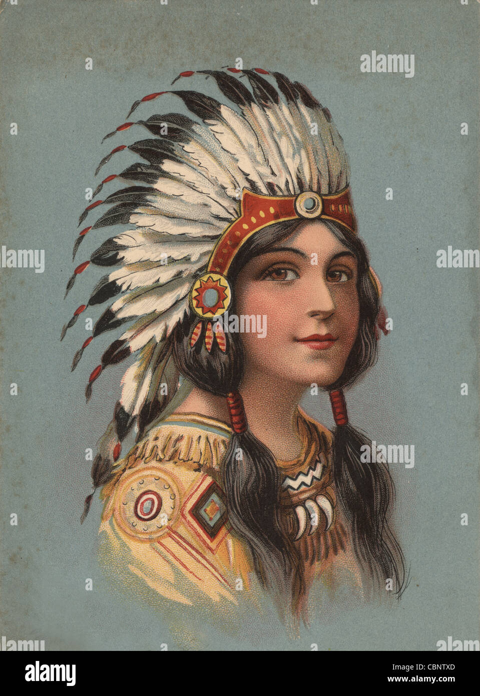 Native American Indian Beauty Stock Photo