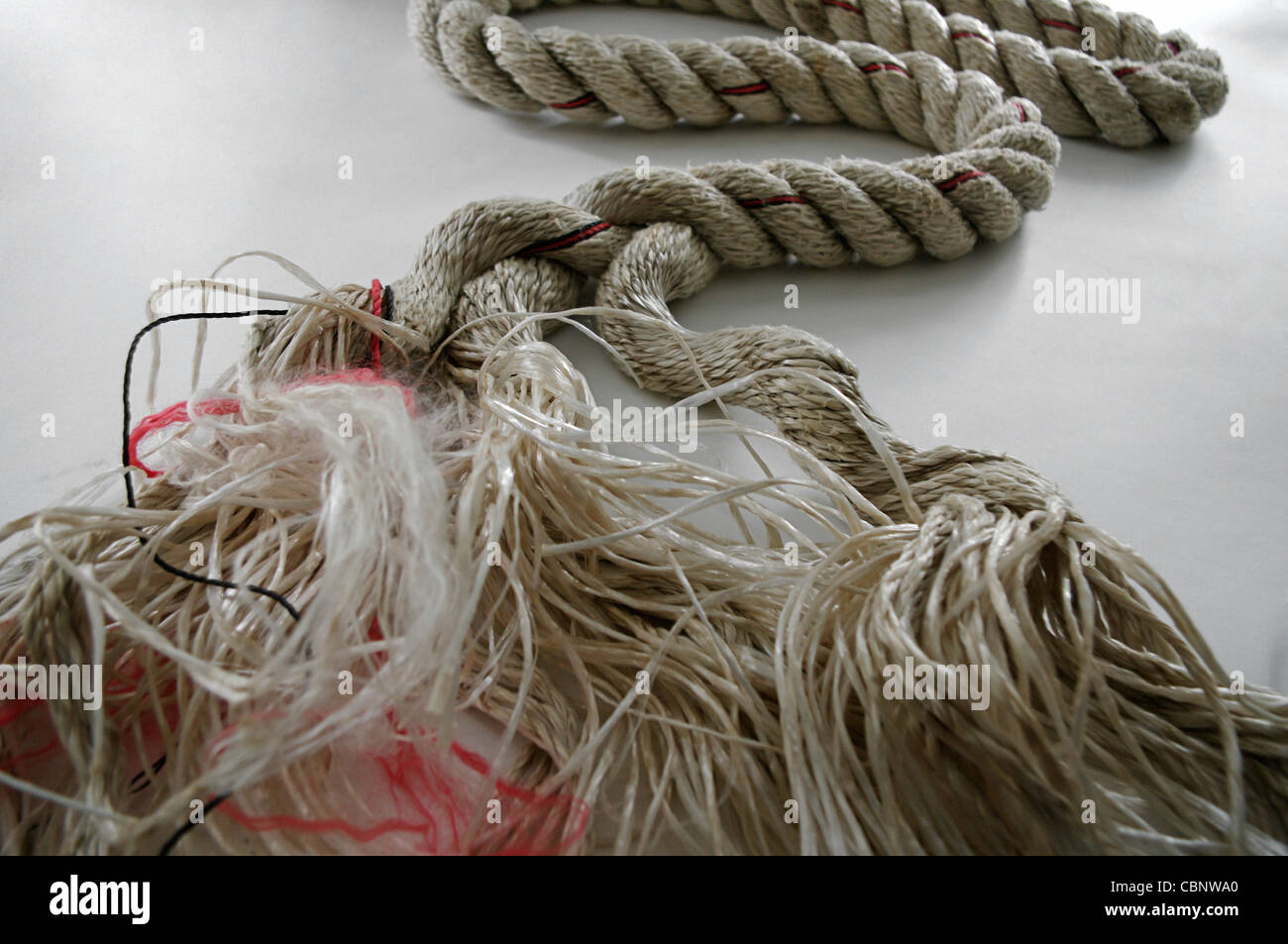 Neat twisted multi-ply rope coming apart into a disorganized tangle of loose ends Stock Photo