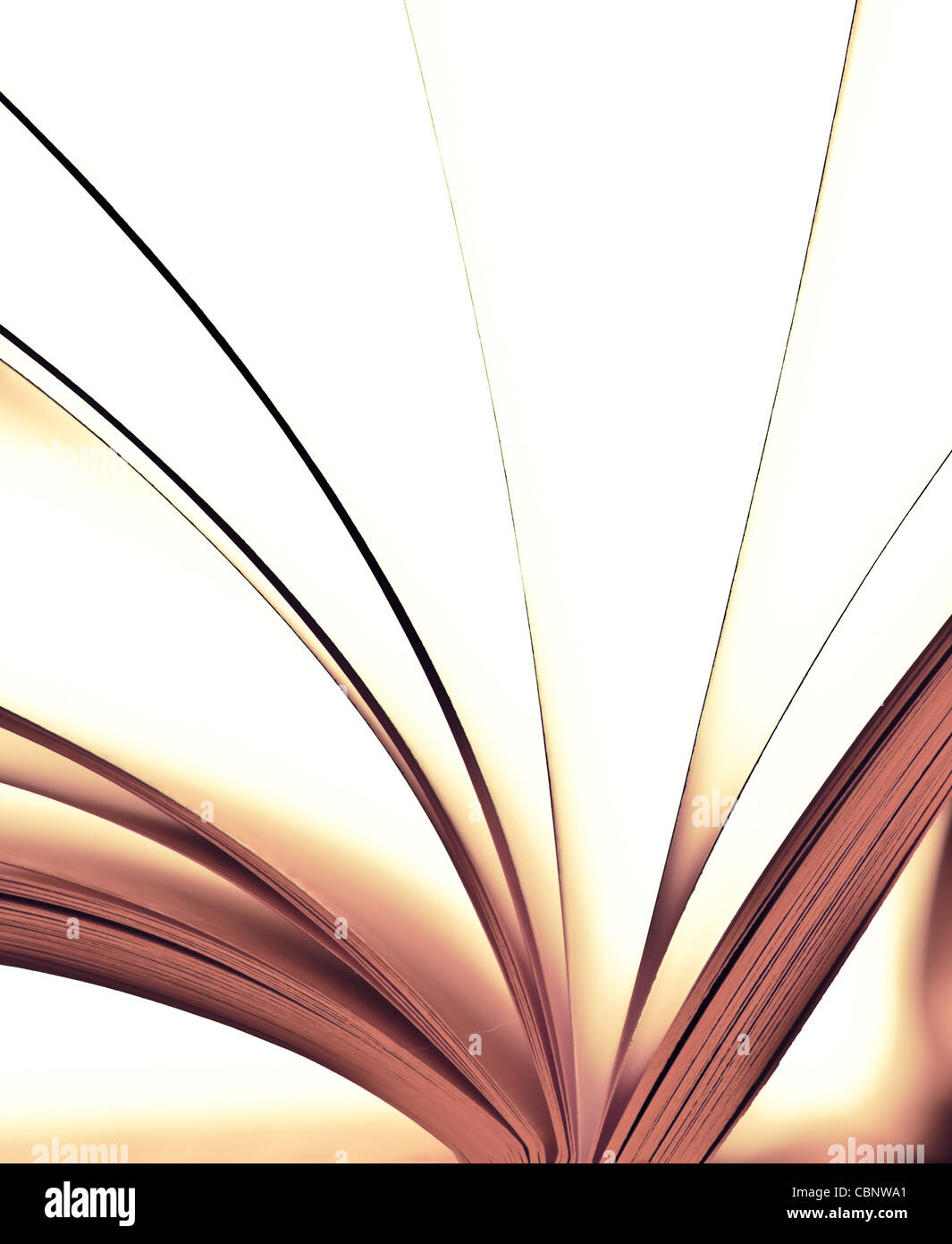 Pages of a book Stock Photo - Alamy