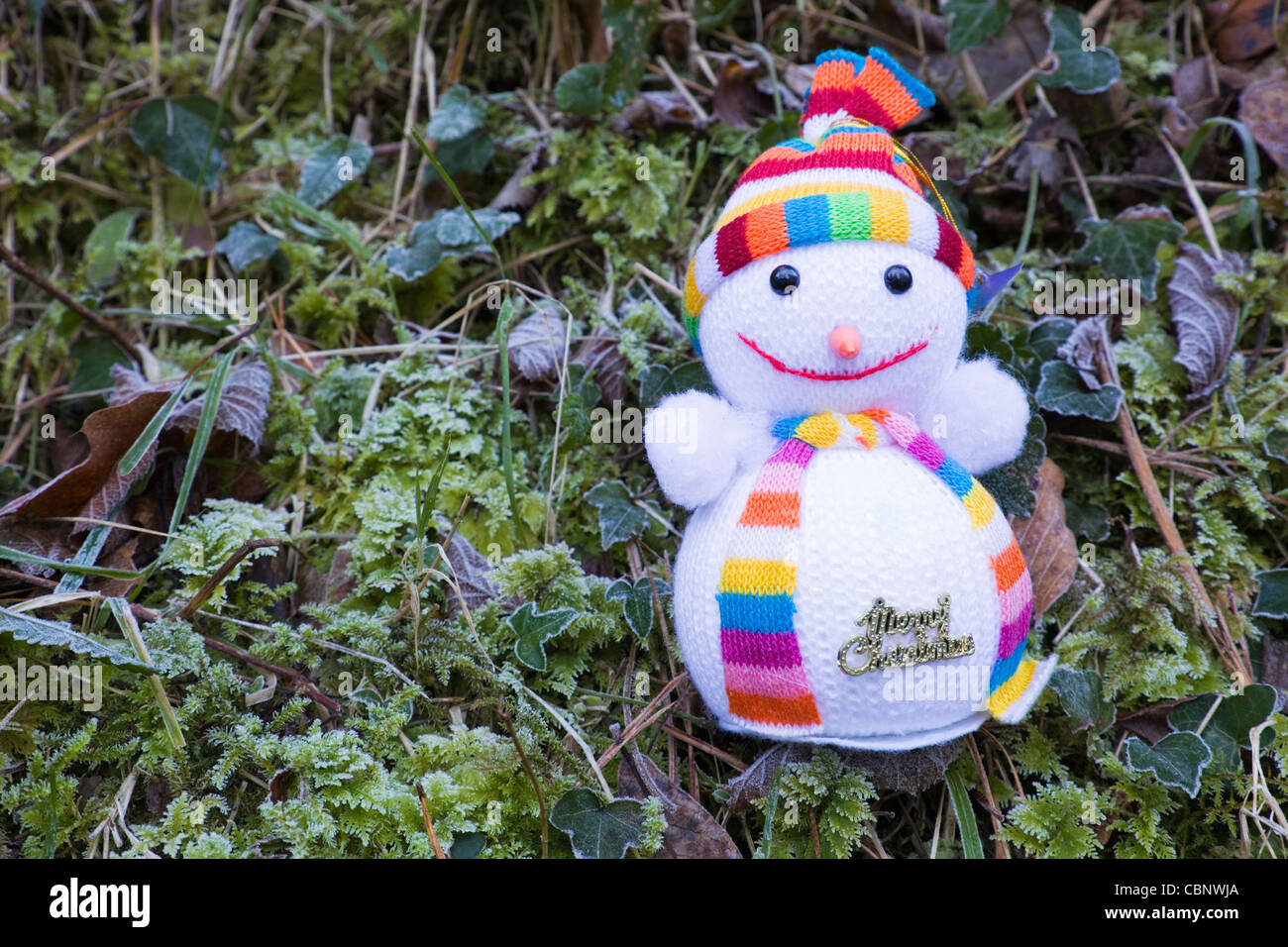 Toy snowman with frozen vegetation as a background showing the message 'Merry Christmas' Stock Photo