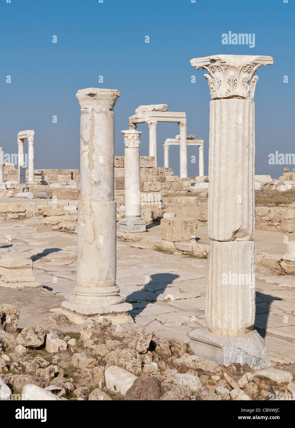 Laodicea on the Lycus was the ancient metropolis of Phrygia Pacatiana built on the river Lycus in Anatolia,Denizli ,Turkey Stock Photo