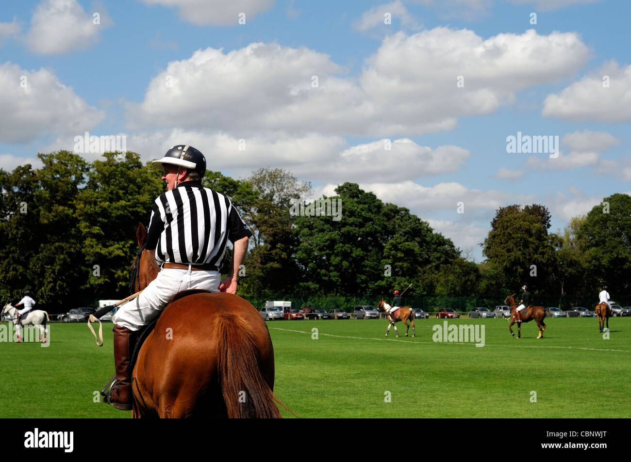 people playing polo