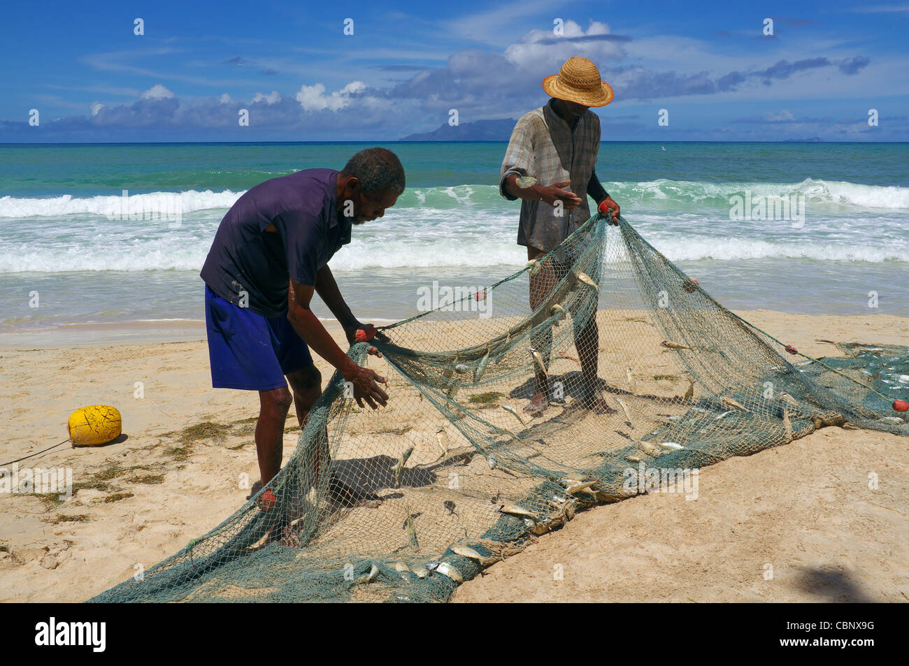 Local fisherman taking fish from the nets that have just been brought