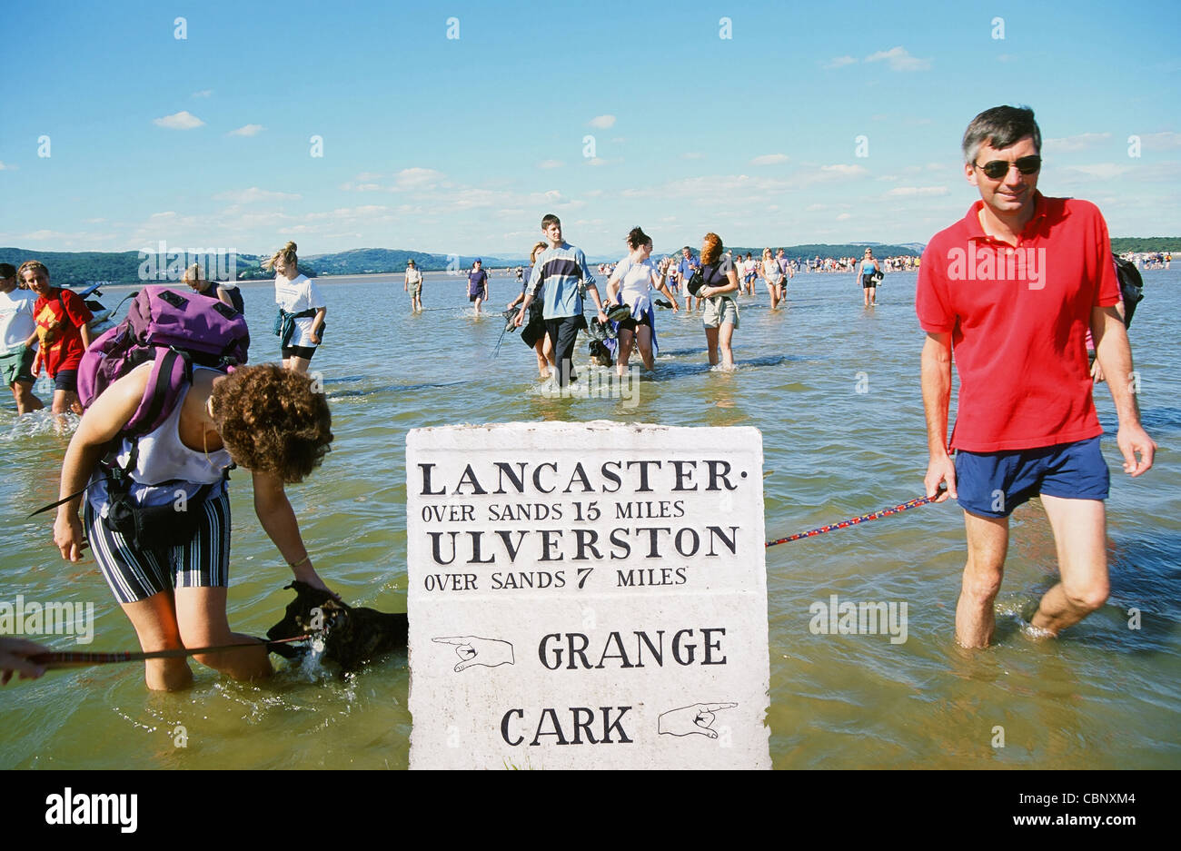 Walkers crossing Morecambe Bay at low tide with the Queens Guide Cedric