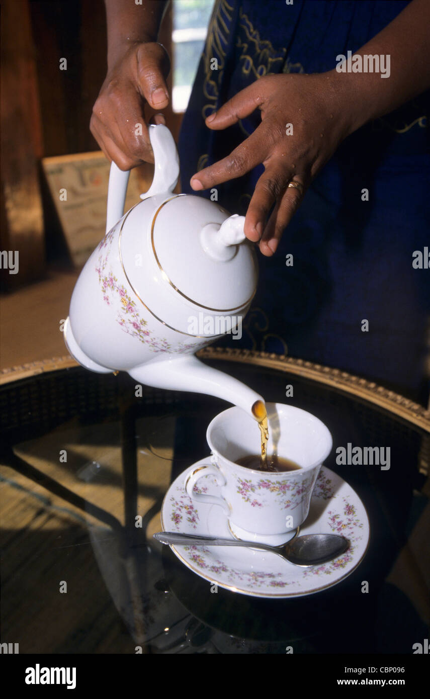 Sri lanka tea cup hires stock photography and images Alamy