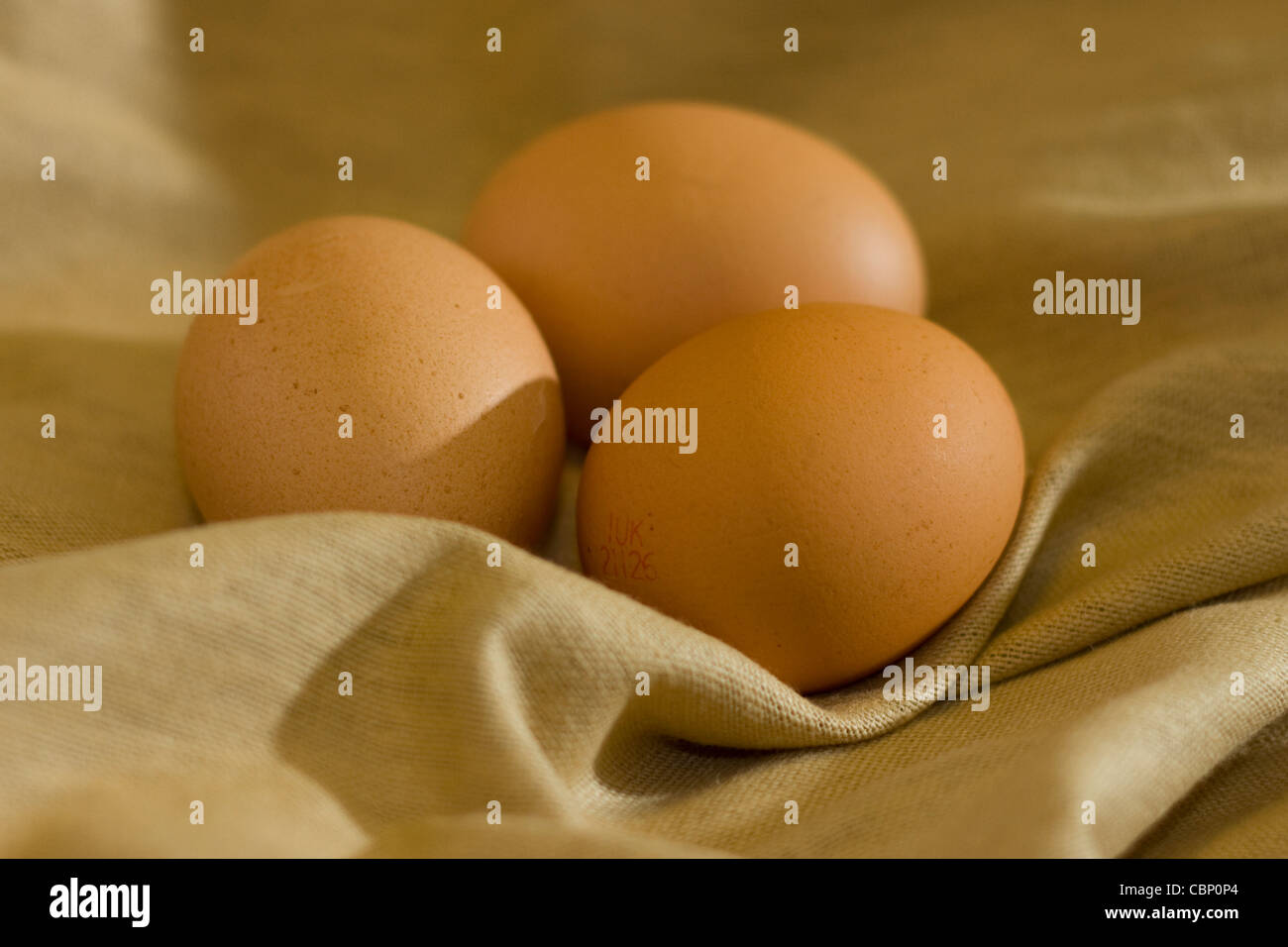 Three brown hen eggs nestle in a fold of rustic brown material Stock ...