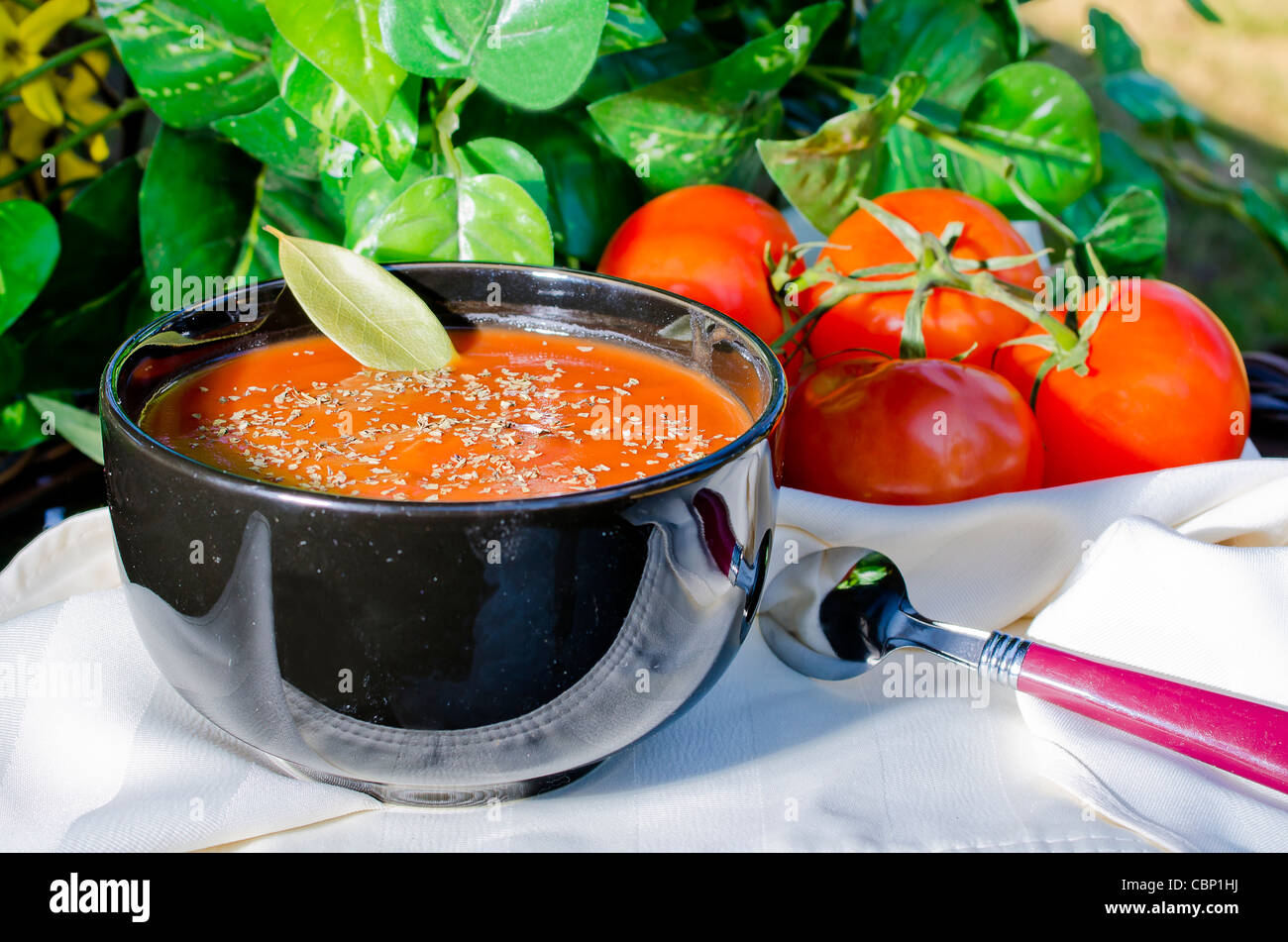 Bowl of tomato soup and tomatoes outside. Stock Photo