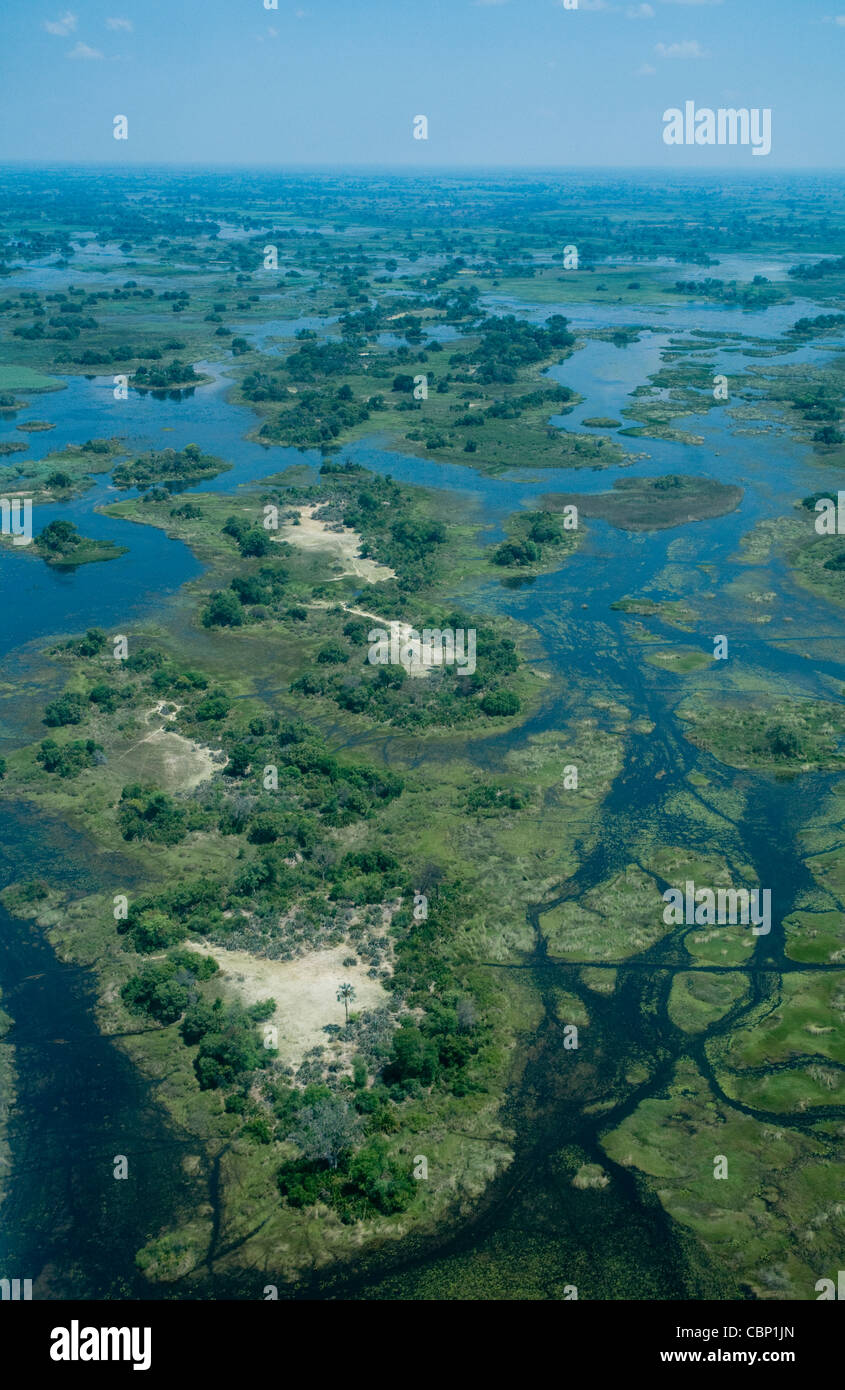 Africa Botswana Aerial view of Okavango Delta Stock Photo