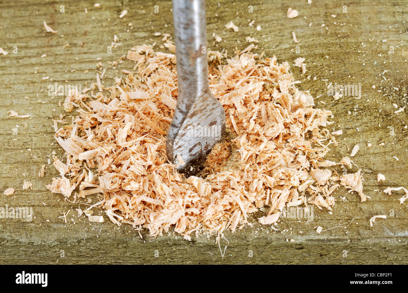 Wood bit boring into timber post Stock Photo Alamy