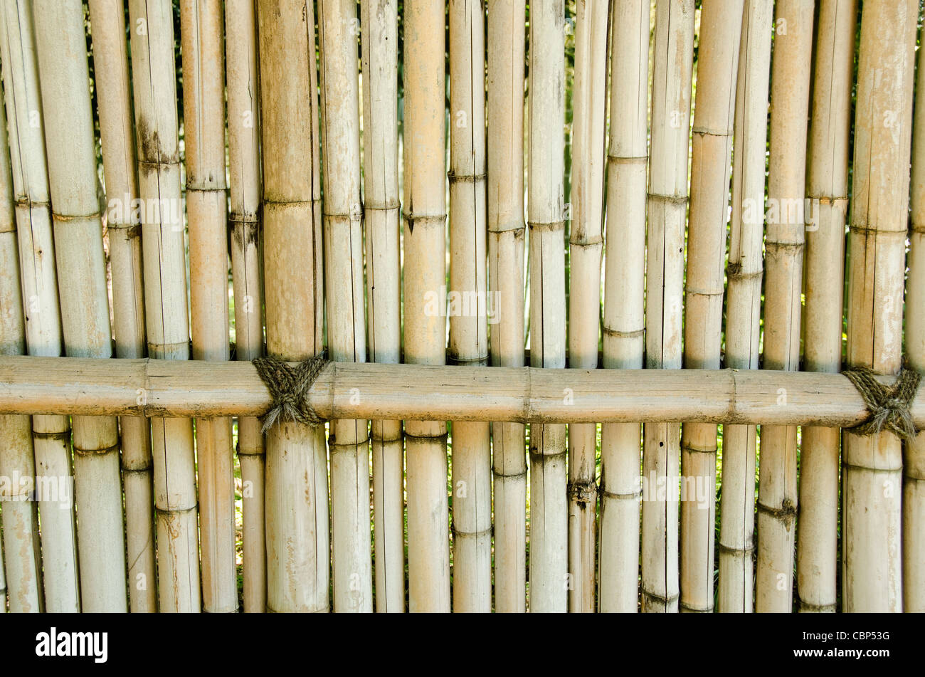 Fence made of bamboo sticks, background natural material Stock Photo