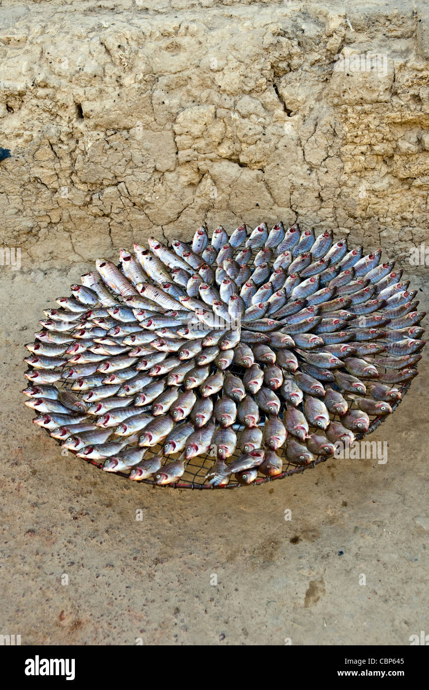 Fish on sale in the street; Mopti, Mali, West Africa Stock Photo