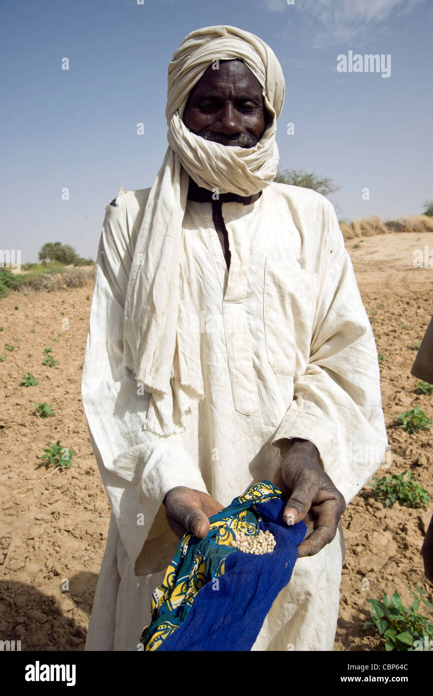 Food and water security projects in Togha; Touareg village in Timbuktu region, Mali Stock Photo