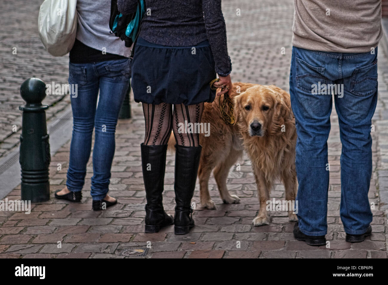 Rear view of three people and a dog on a Brussels street. Stock Photo