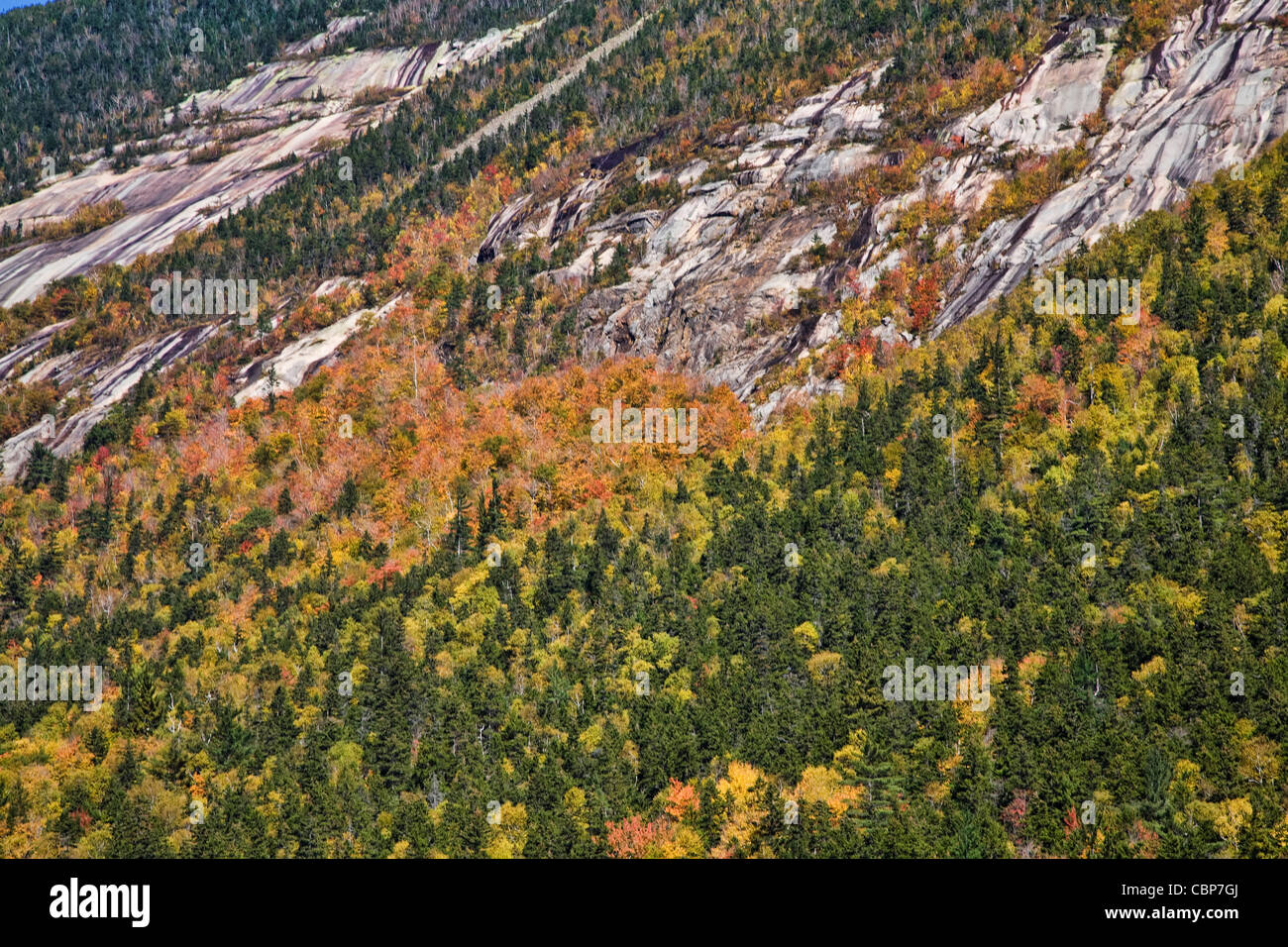 Scenes from Crawford Notch State Park in the White Mountains, New Hampshire. Stock Photo