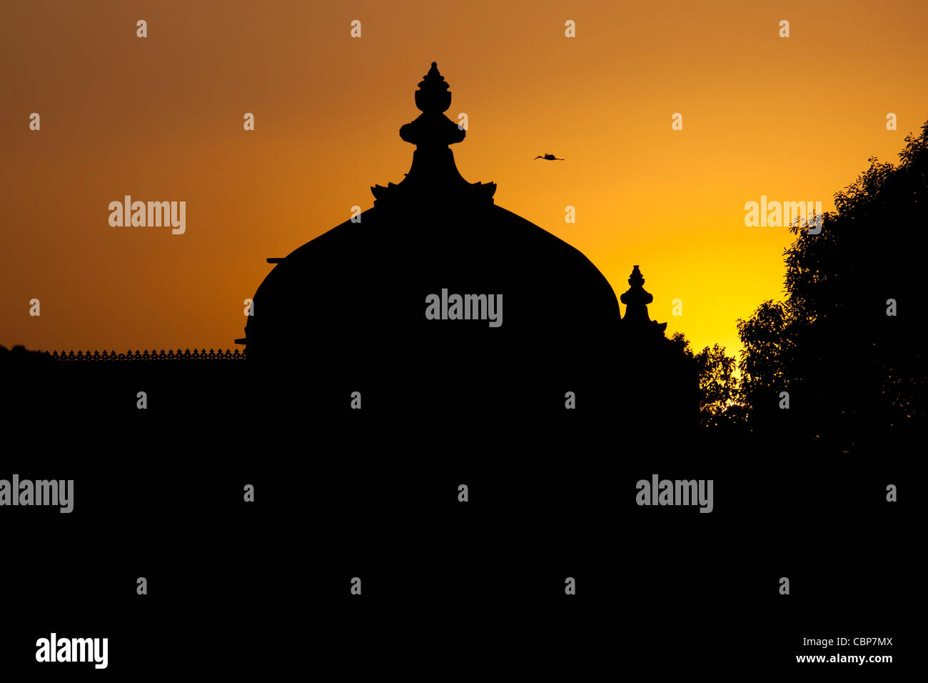 Gol Mahal Raj Angan annexe to The City Palace at sunset in Udaipur, Rajasthan, India Stock Photo