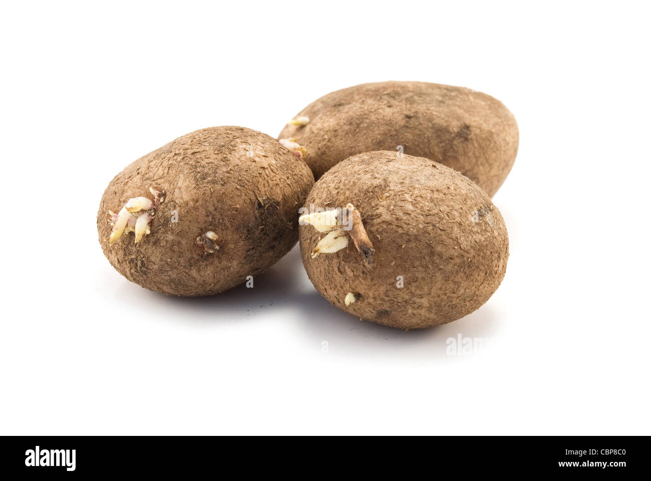 three potato is isolated on white background Stock Photo