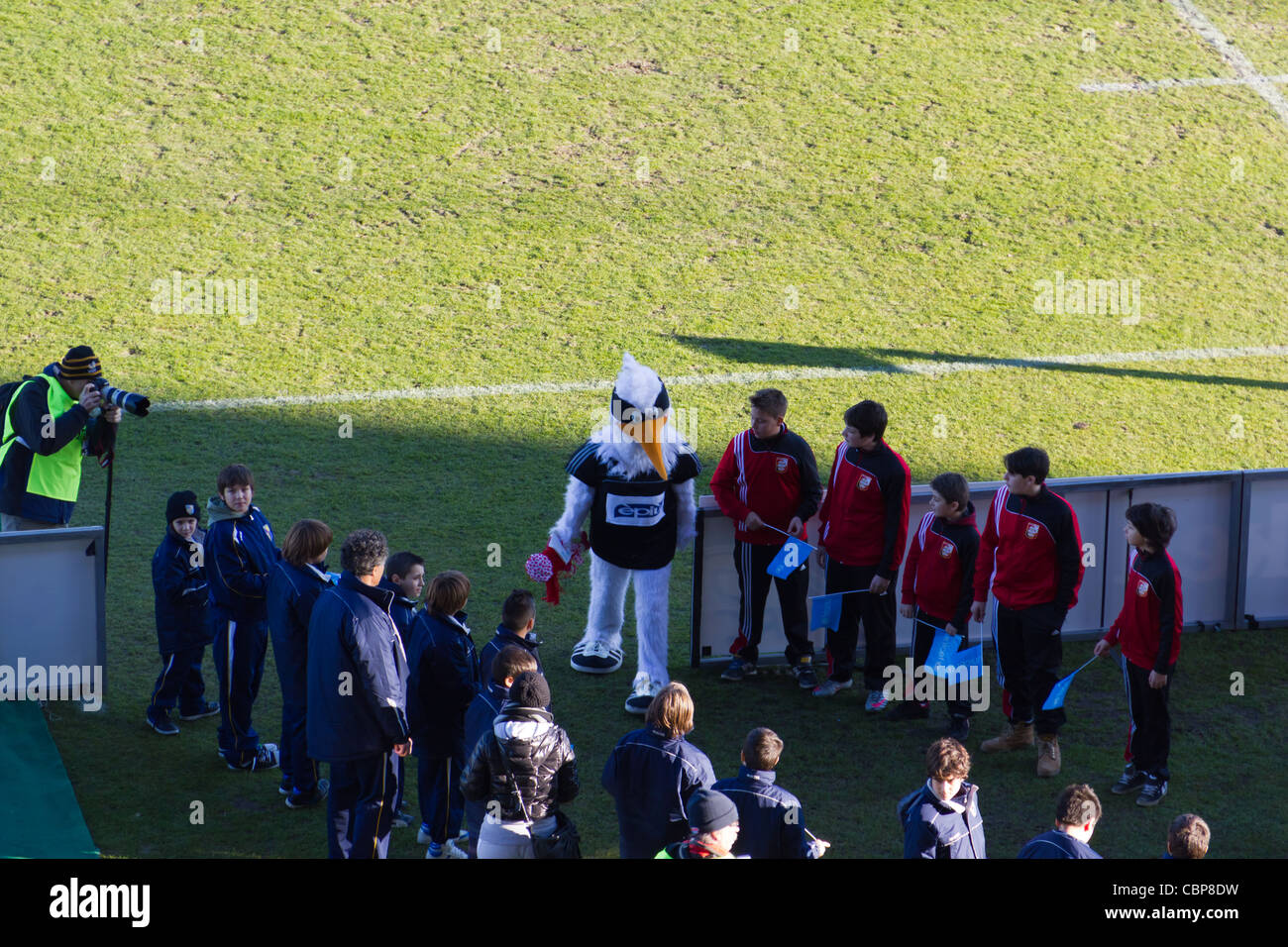 The Aironi Mascot waiting for the teams during the Heineken Cup Stock Photo