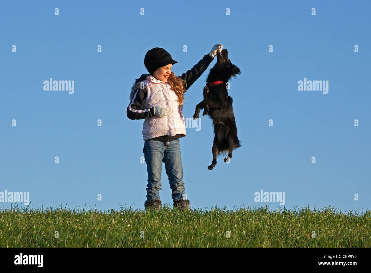 young girl playing with a dog Stock Photo