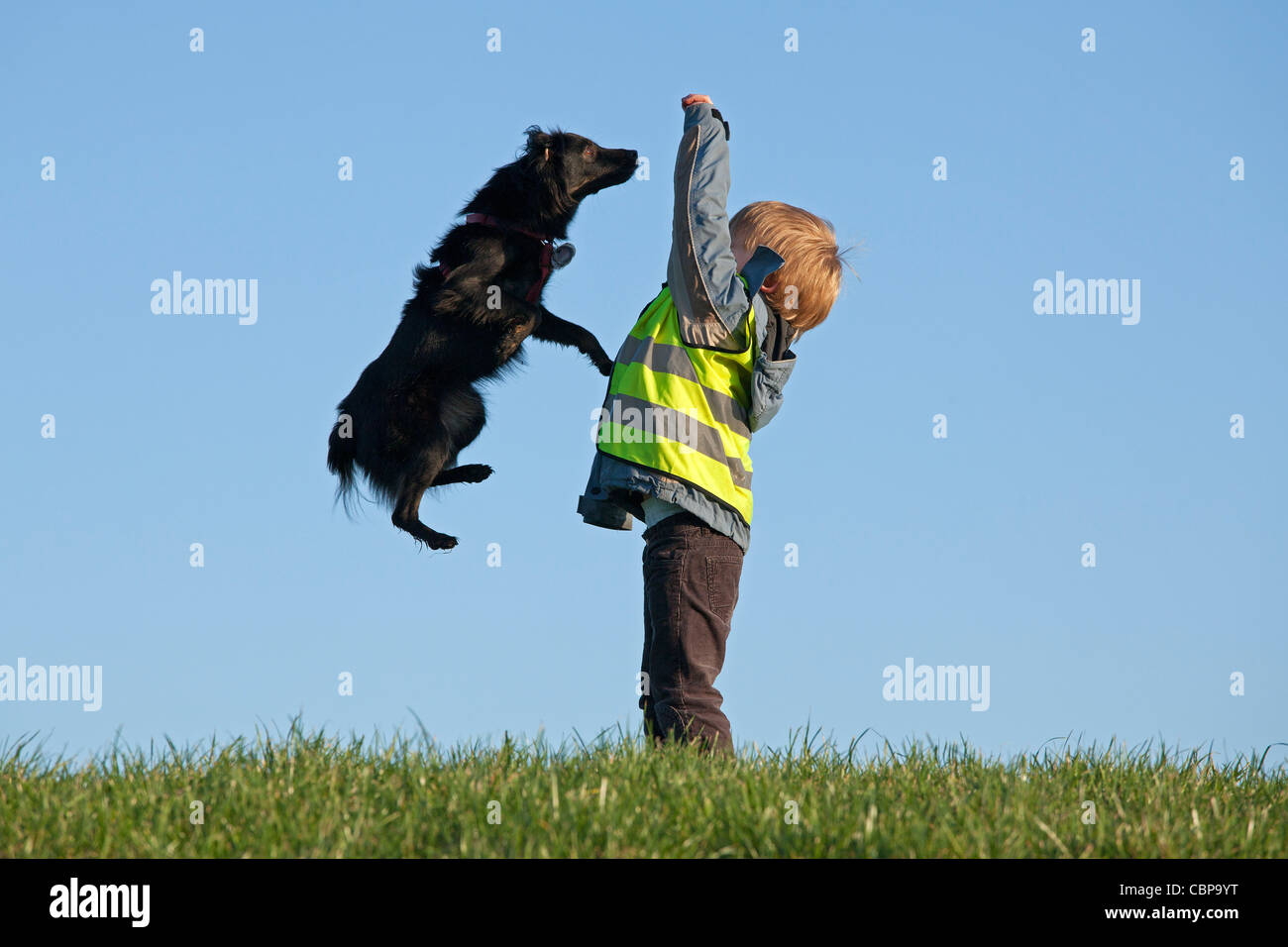 young boy playing with a dog Stock Photo