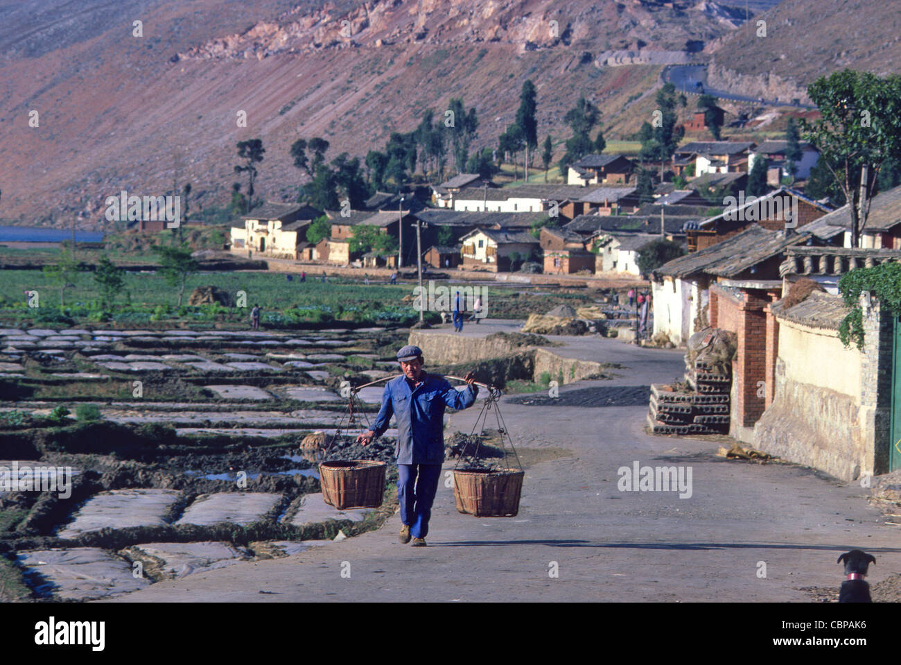 China farming 1980s hi-res stock photography and images - Alamy
