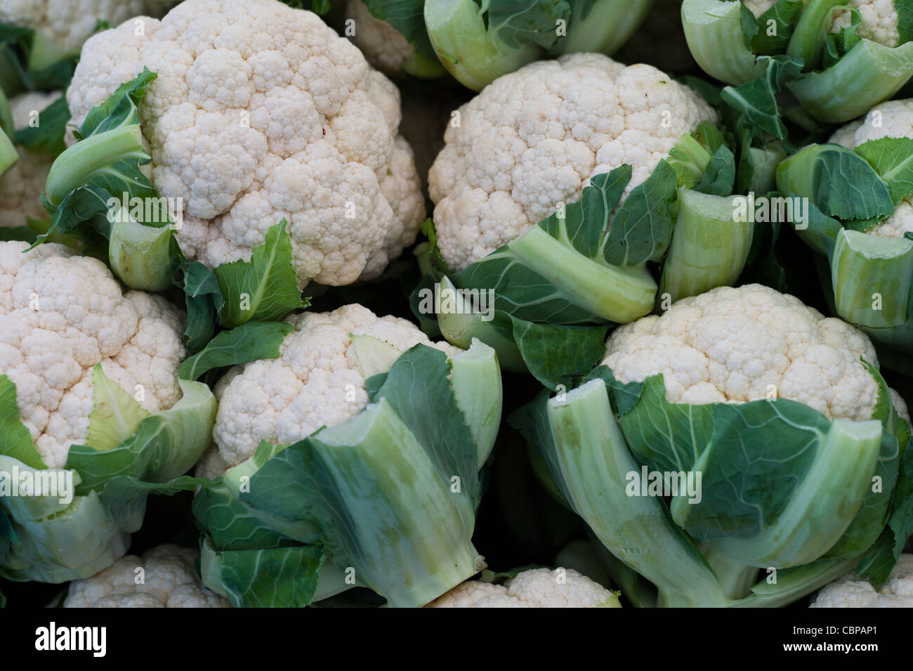 Cauliflower for sale in market Stock Photo