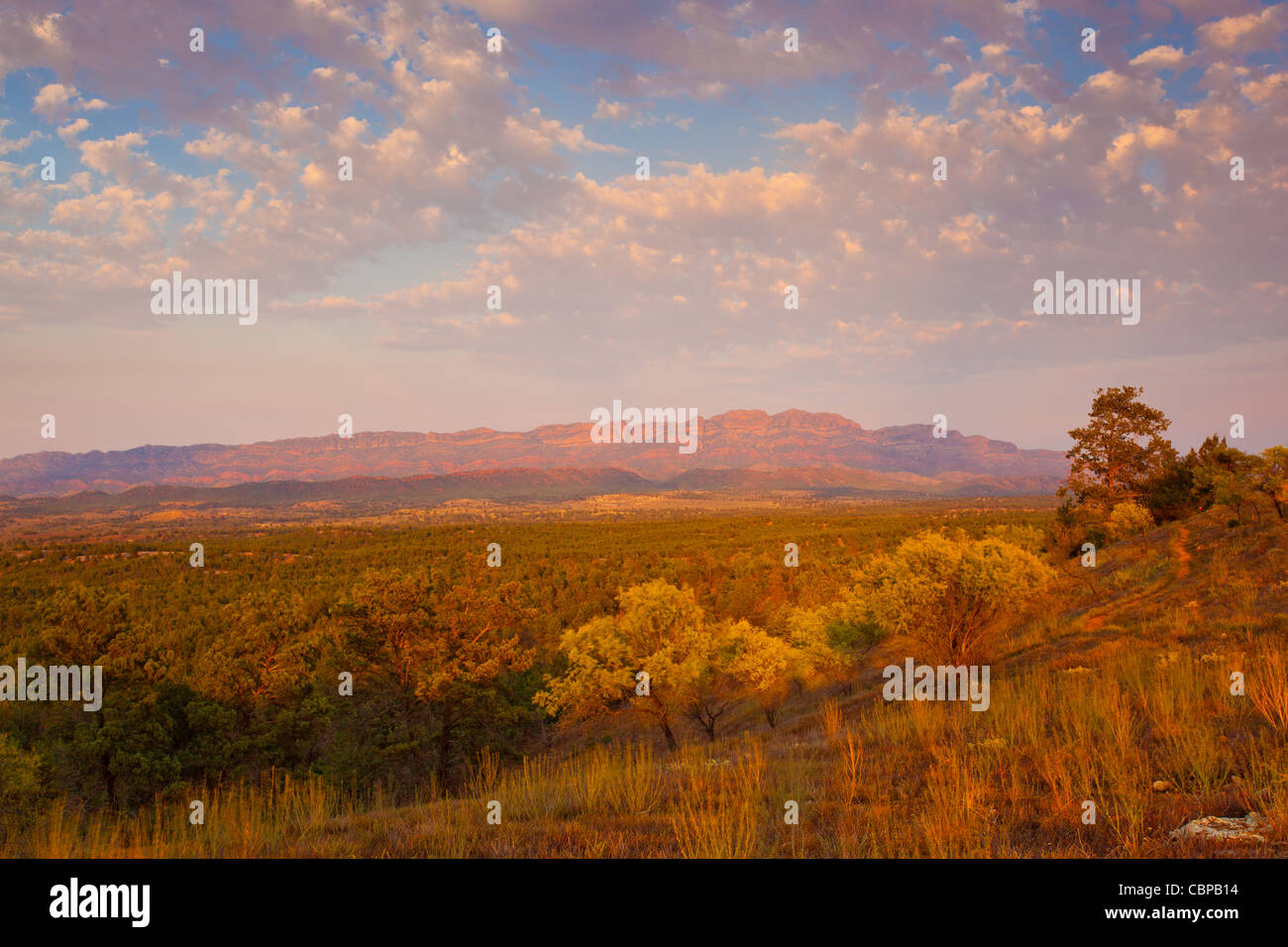 Early morning light over Elder Range from Ulowona Range in Rawnsley Park in the Flinders Ranges in outback South Australia, Australia Stock Photo