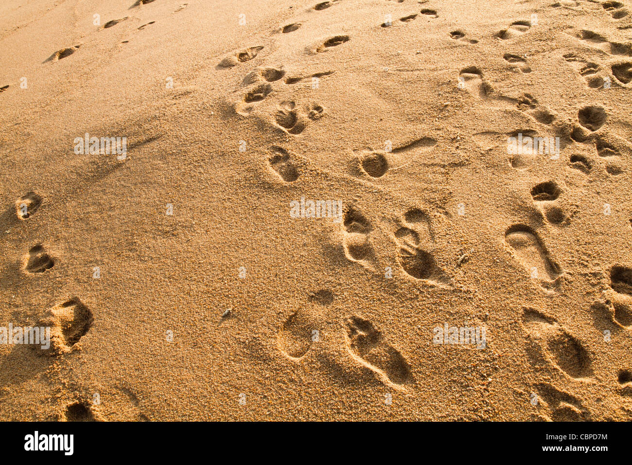 Fußspuren strand hi-res stock photography and images - Alamy