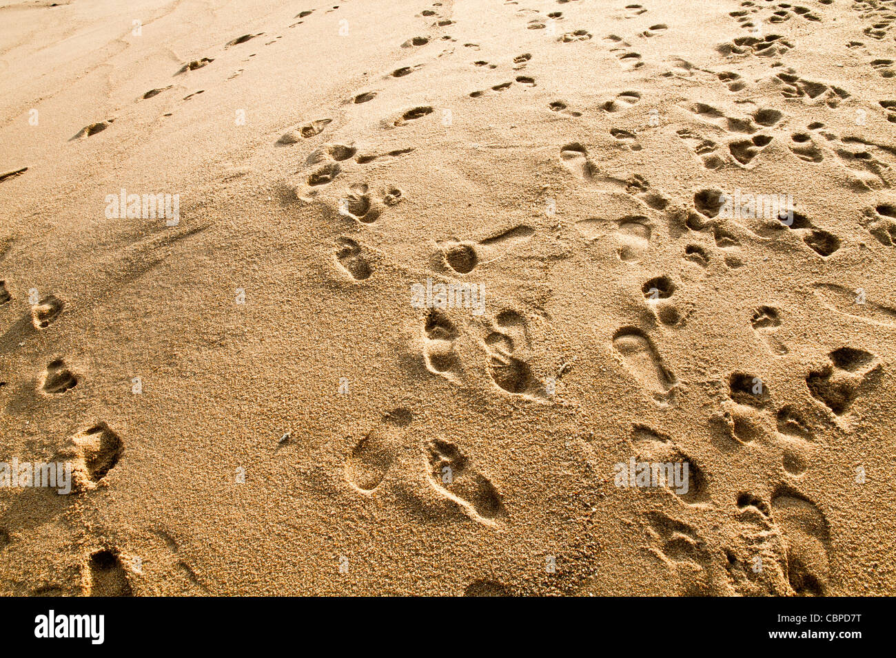 Fußspuren strand hi-res stock photography and images - Alamy