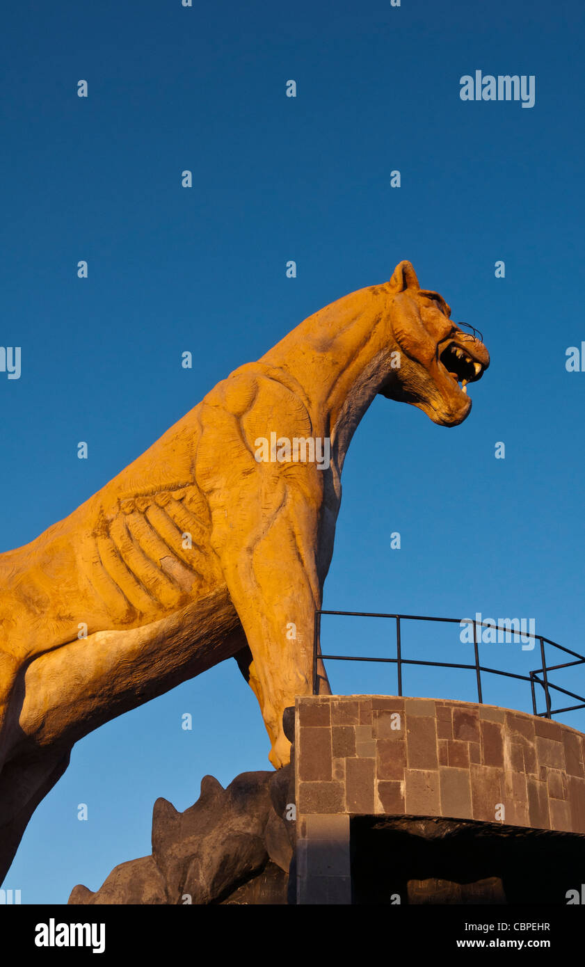Puma top hi-res stock photography and images - Alamy