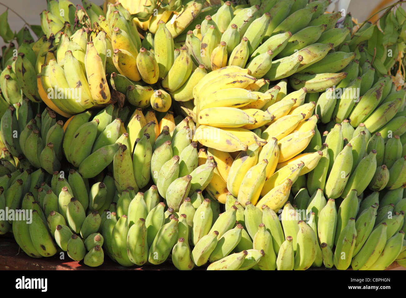 Bananas, as offering in a temple at Myanmar Stock Photo - Alamy