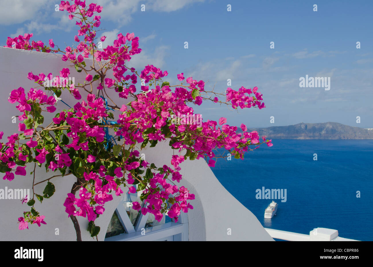 Scenic with pink flowers in Santorini Greece in Greek Islands Stock