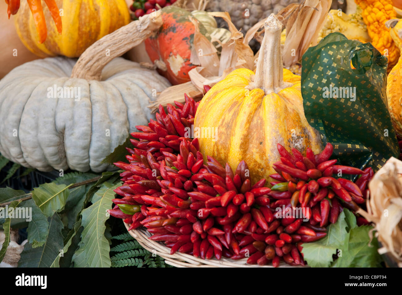 Pumpkins for sale on market stalls Stock Photo - Alamy