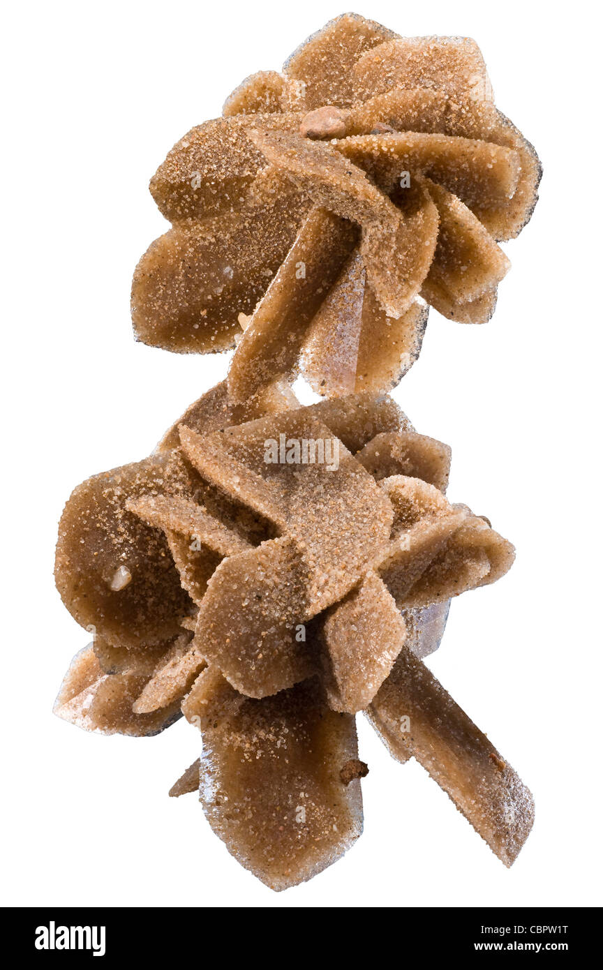 Gypsum 'Roses' with Sand Inclusions from Jet, Okalahoma also Desert Rose Stock Photo