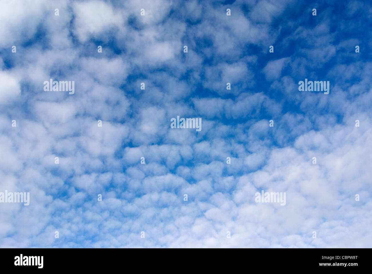 cirrocumulus clouds. Stock Photo