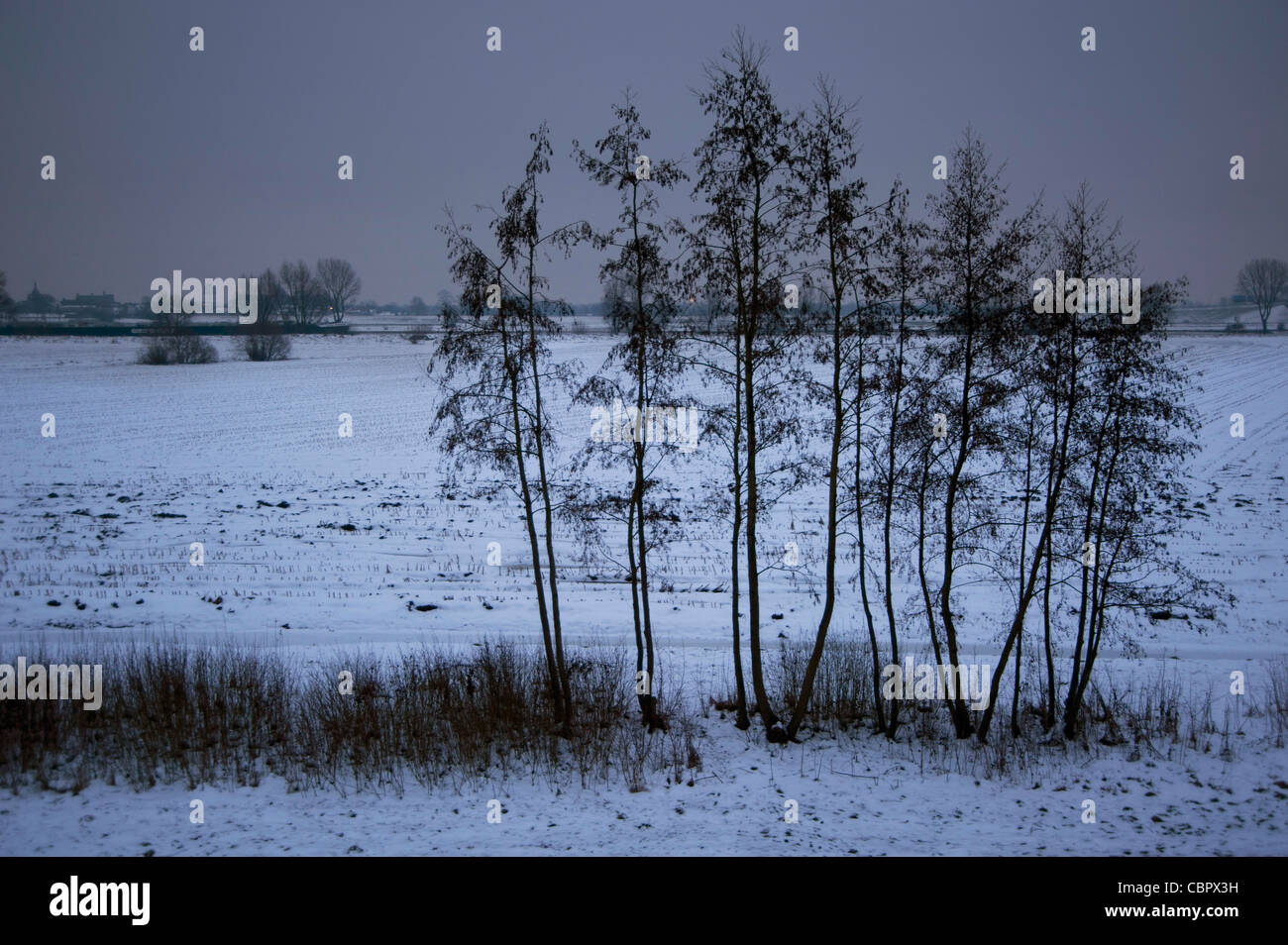 winterlandscape, snow, floodplain, river Lek Rhine. delta Stock Photo