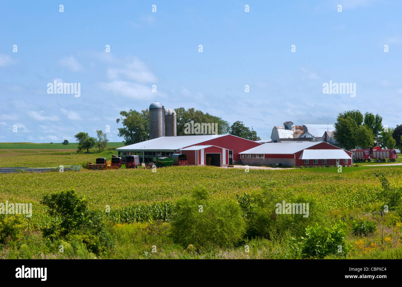 Perfect calendar image of farm near Dyersville Iowa with red barn and corn rows  Stock Photo