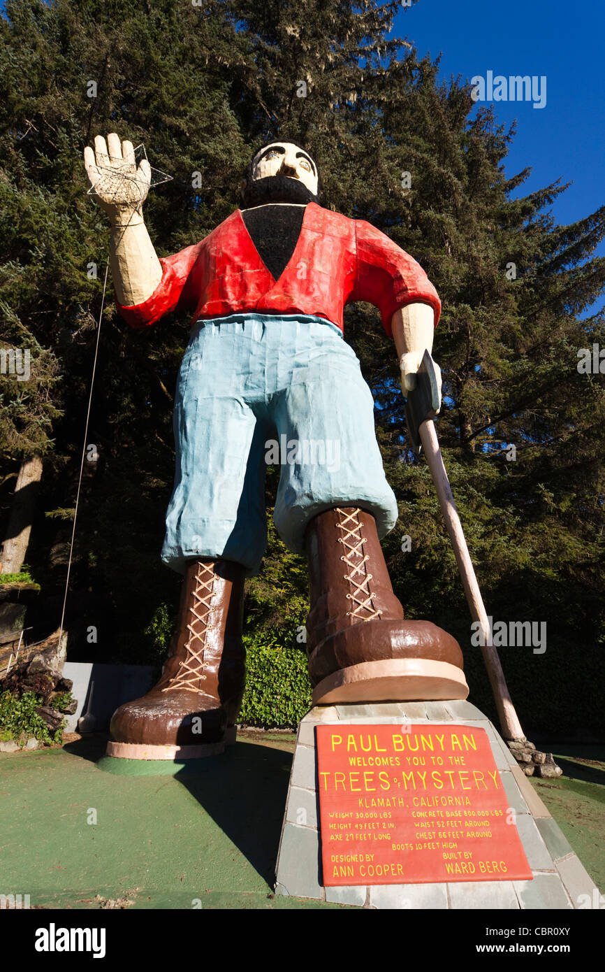 USA, California, Northern California, North Coast, Klamath, Trees of