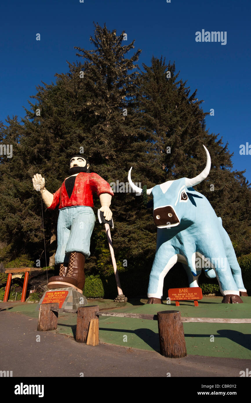 USA, California, Northern California, North Coast, Klamath, Trees of