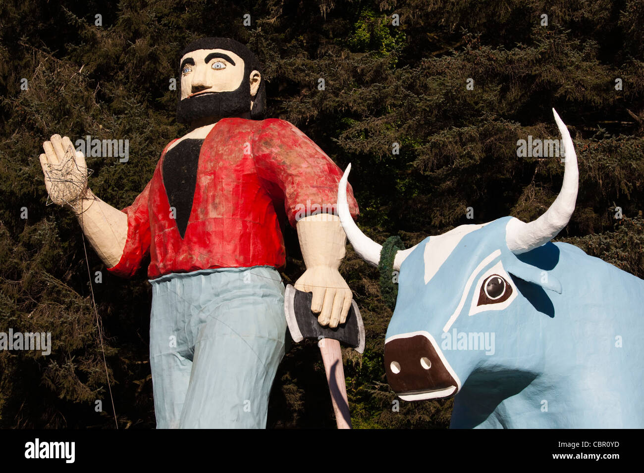 USA, California, Northern California, North Coast, Klamath, Trees of