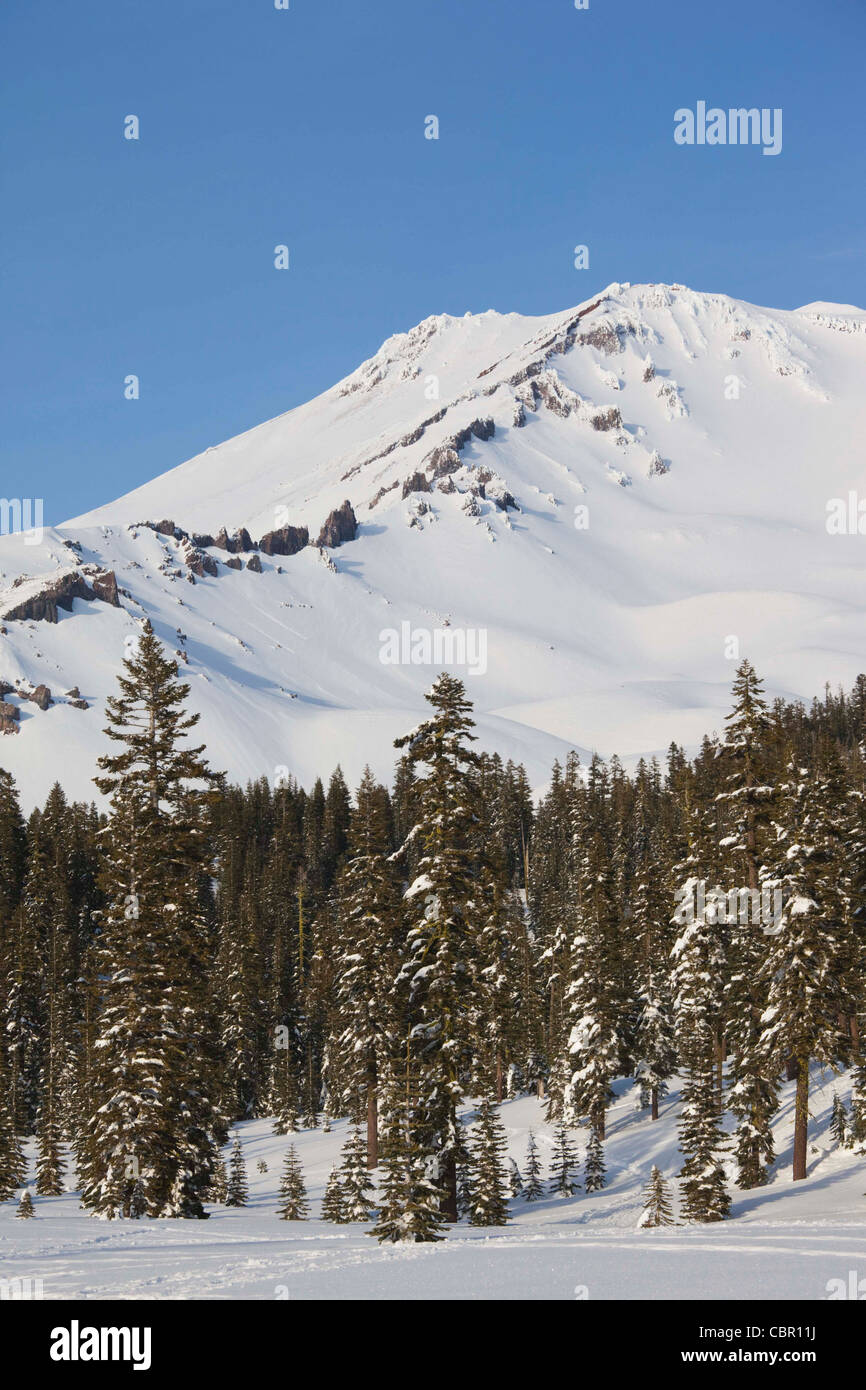 USA, California, Northern California, Northern Mountains, Mount Shasta ...
