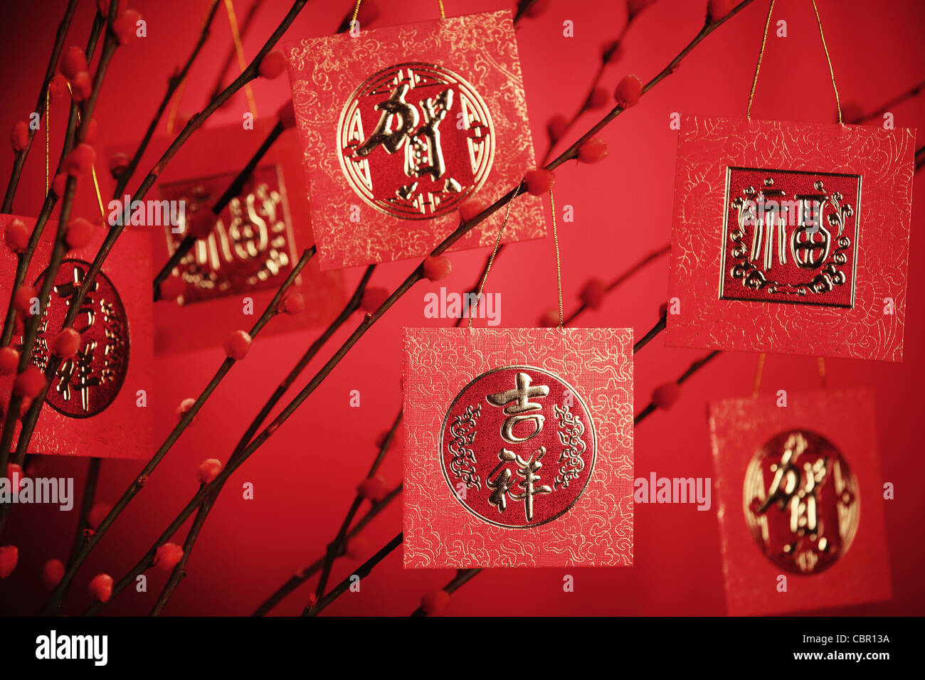 which flower symbolizes luck on chinese new year
