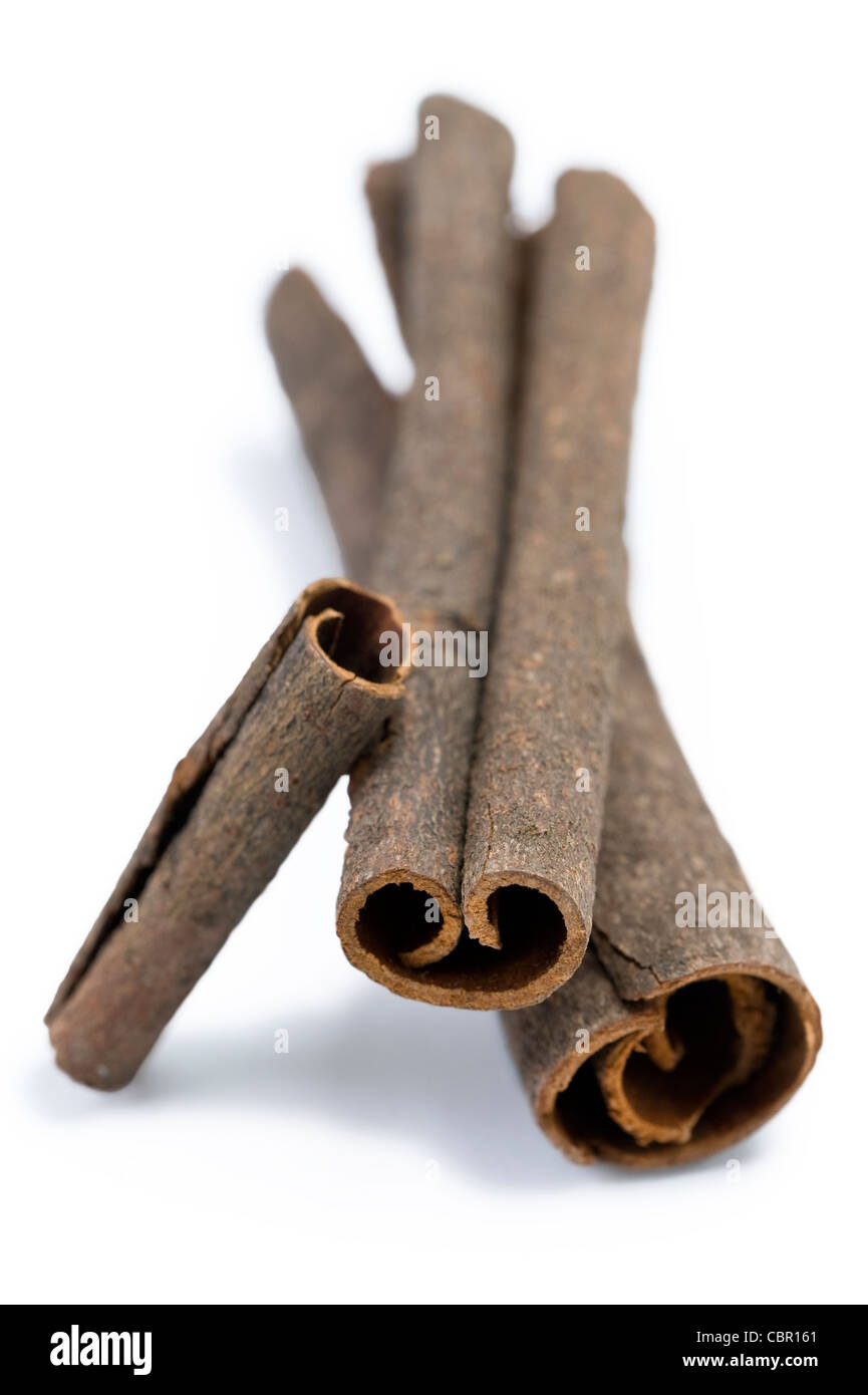 cinnamon bark arranged against a white background Stock Photo