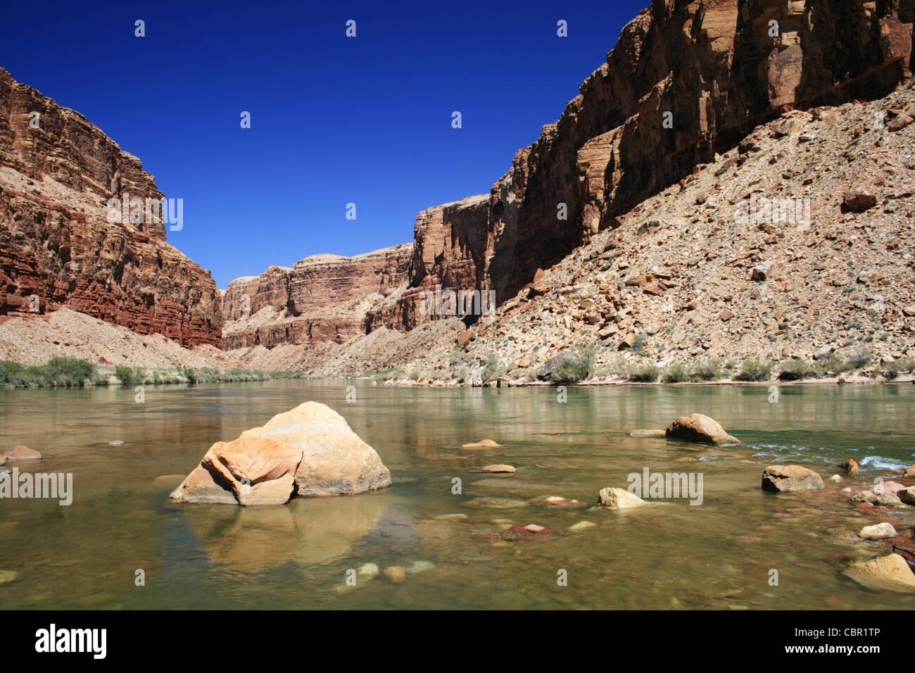 the Colorado River flows through Marble Canyon Stock Photo